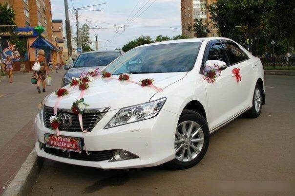 Аренда автомобиля в кургане. Аренда авто курган. Аренда машин в кургане. Аренда авто курган. Автошкола максимум улан-удэ.