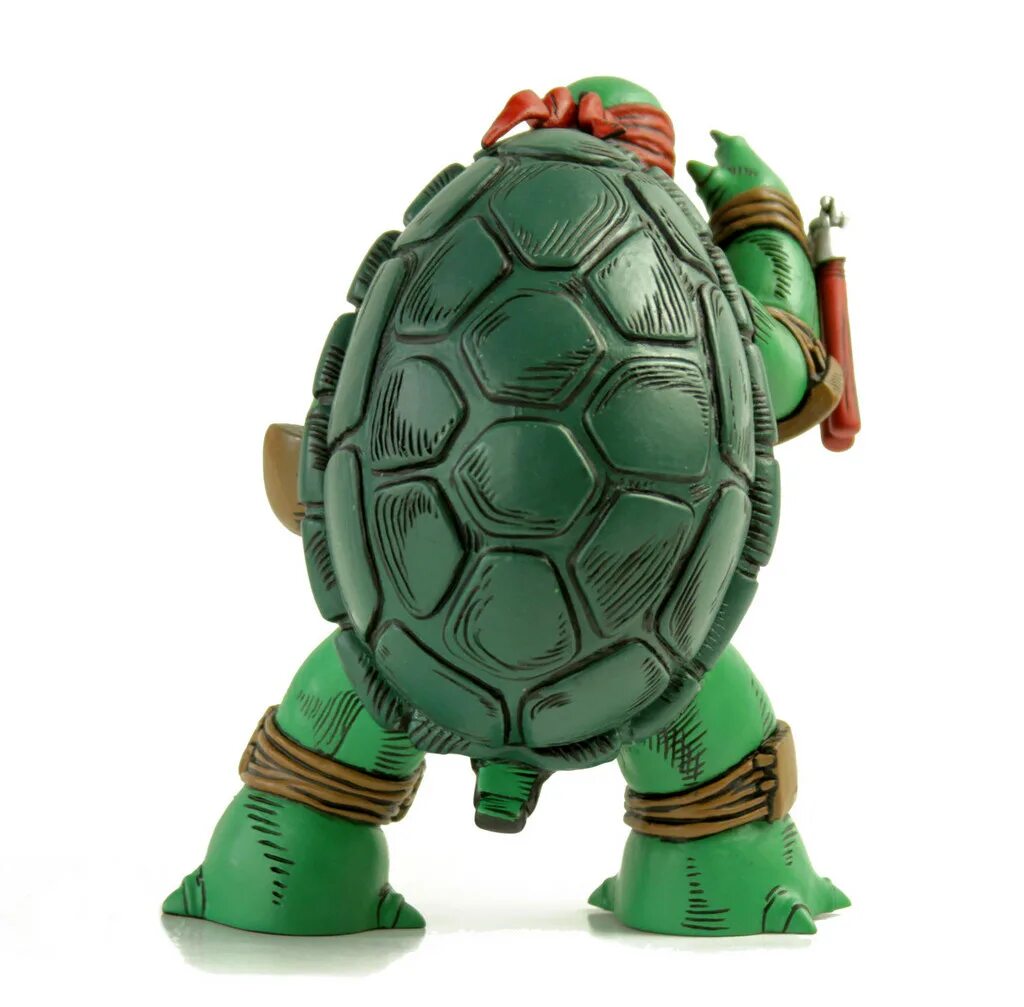 T1 turtle