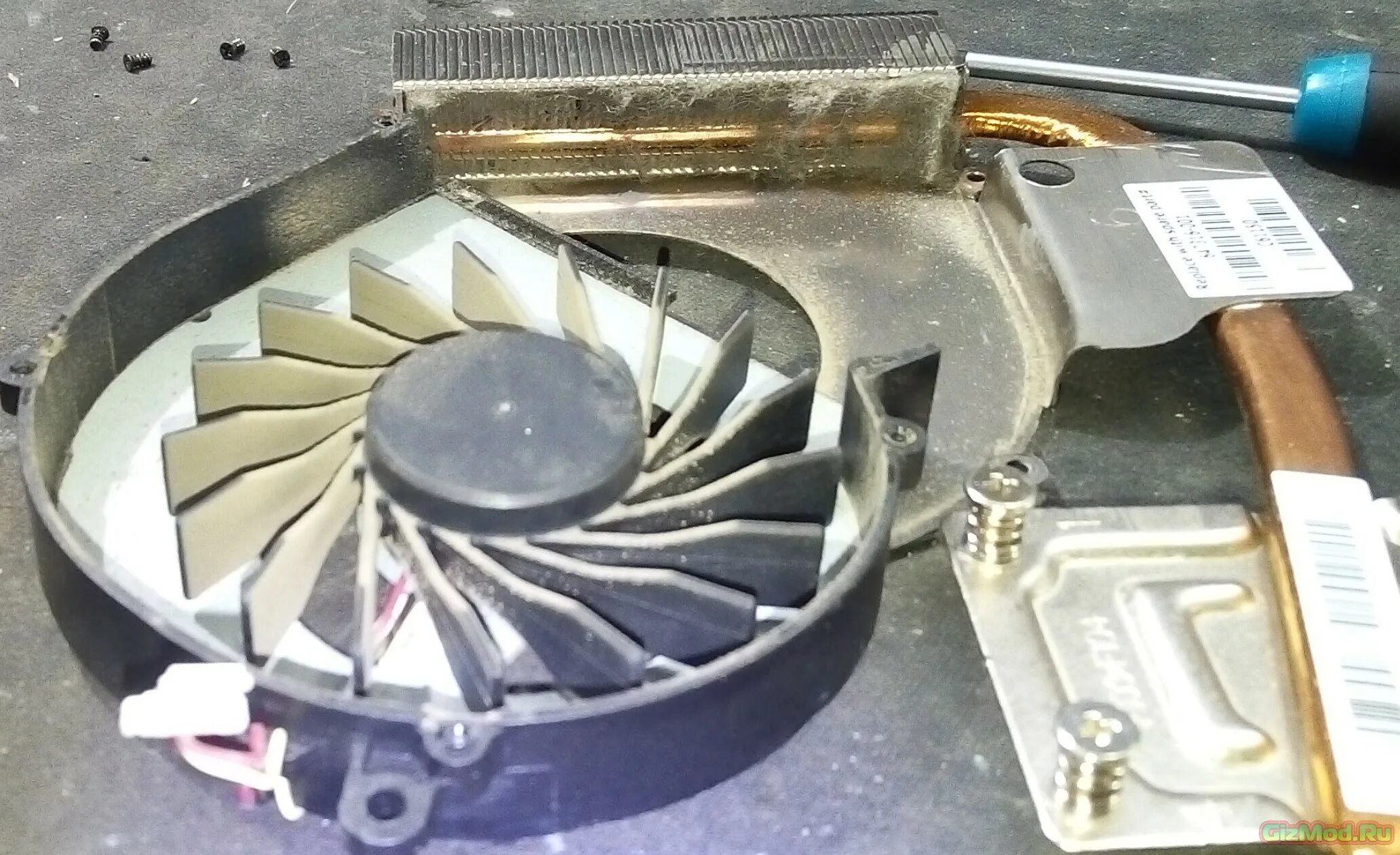 Чистка ноутбука от пыли спб. Чистка системы охлаждения ноутбука. Чистка ноутбука от пыли и замена термопасты. Чистка ноутбука от пыли. Чистка ноутбука от пыли спб.