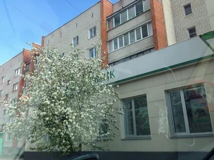 Втб псков телефон