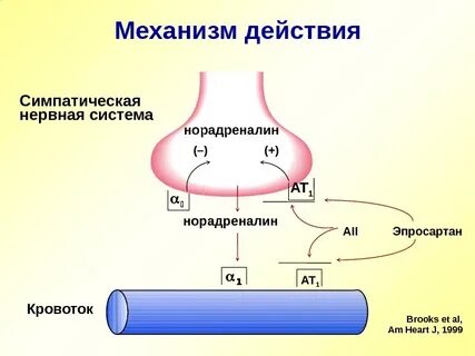 Норадреналин медиатор симпатической системы