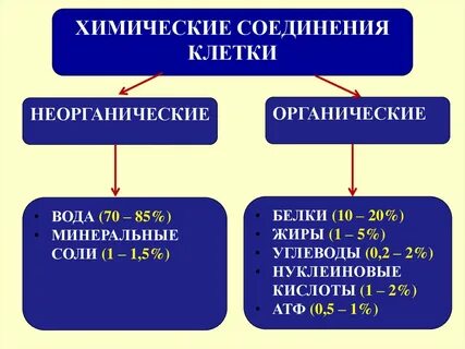 Строение химической связи неорганических веществ