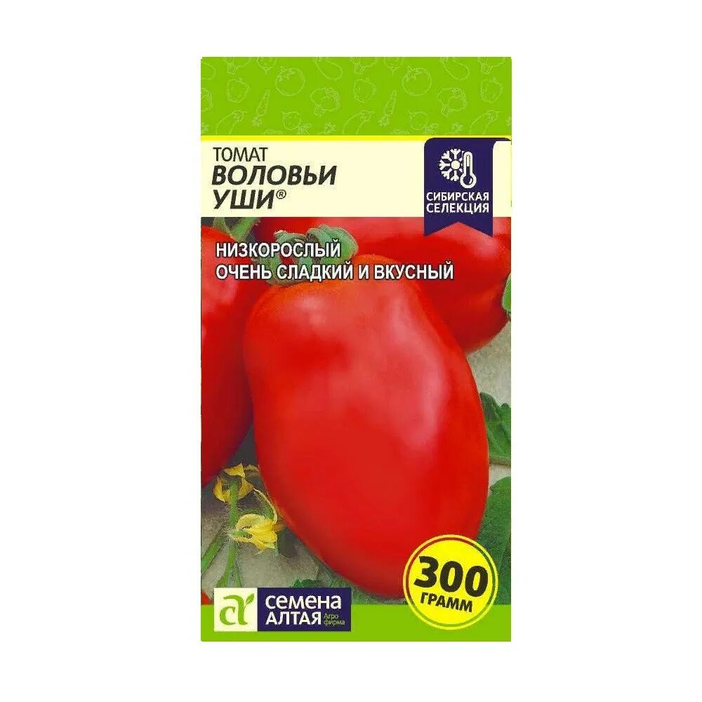 Помидоры воловьи уши фото Томат Воловьи уши (лучшие урожайные сорта томатов для теплиц) YouTube