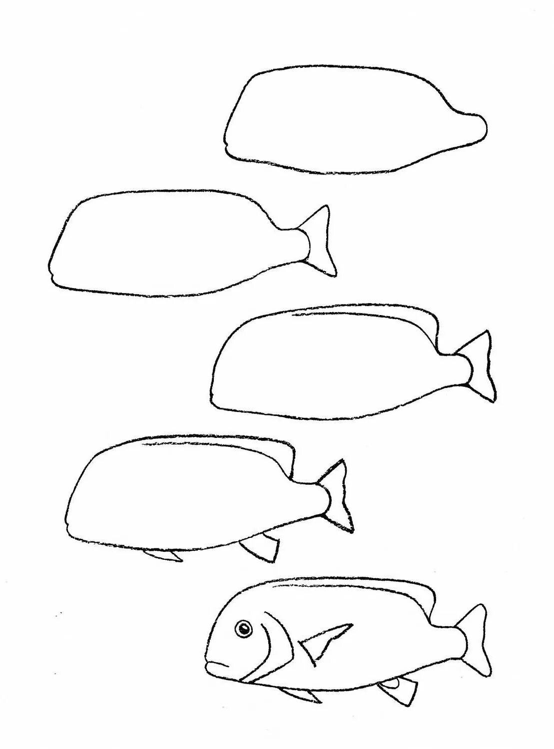 Рисование рыбки. Поэтапное рисование рыбы. Пошаговое рисование рыбки. Поэтапный рисунок рыбы. Нарисовать рисунок рыбу