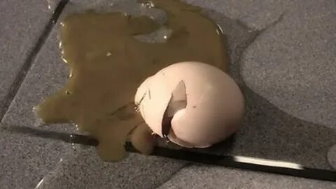 Почему подкинули яйцо