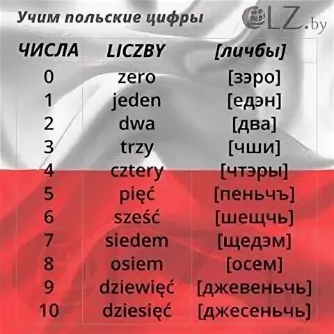 Пол цифр