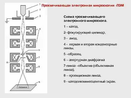 Просвечивающая микроскопия
