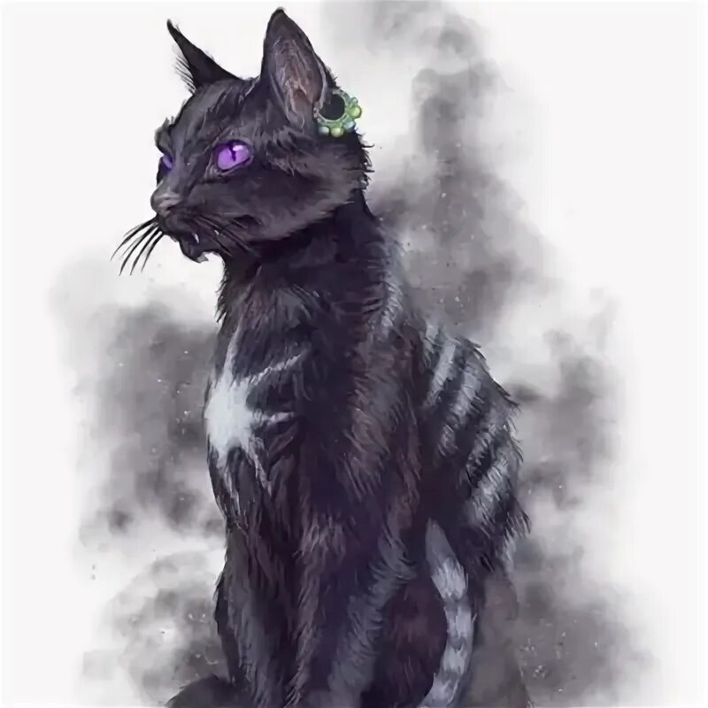 Кат ши мифологическая кошка. Кайт ши кельтская мифология. Коты фамильяры. Кат ши мифологическая кошка. Черная кошка мифология.