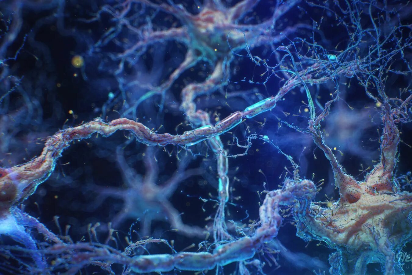 Основные клетки мозга. Нейроны мозга. Сеть нейронов. Нейроны и нейронные связи. Нейронная система мозга.