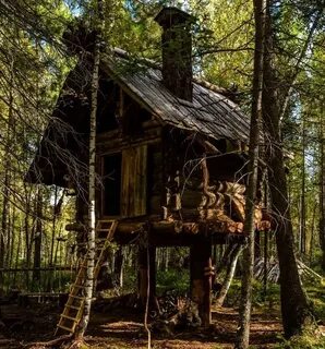 Есть в лесу избушка там