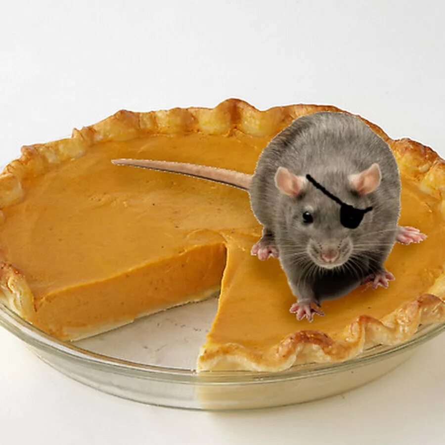 Жизнь это пирог. Пироги крысы. life of pie. rats life. the pie … ready.
