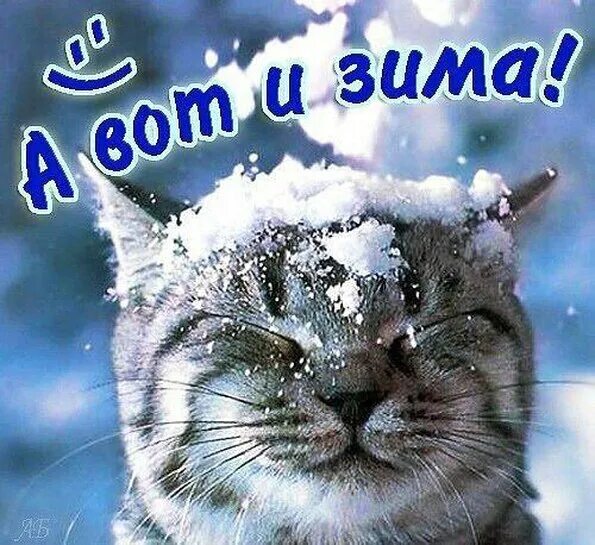 Доброе утро со снегом прикольно. Доброе утро со снегом прикольно