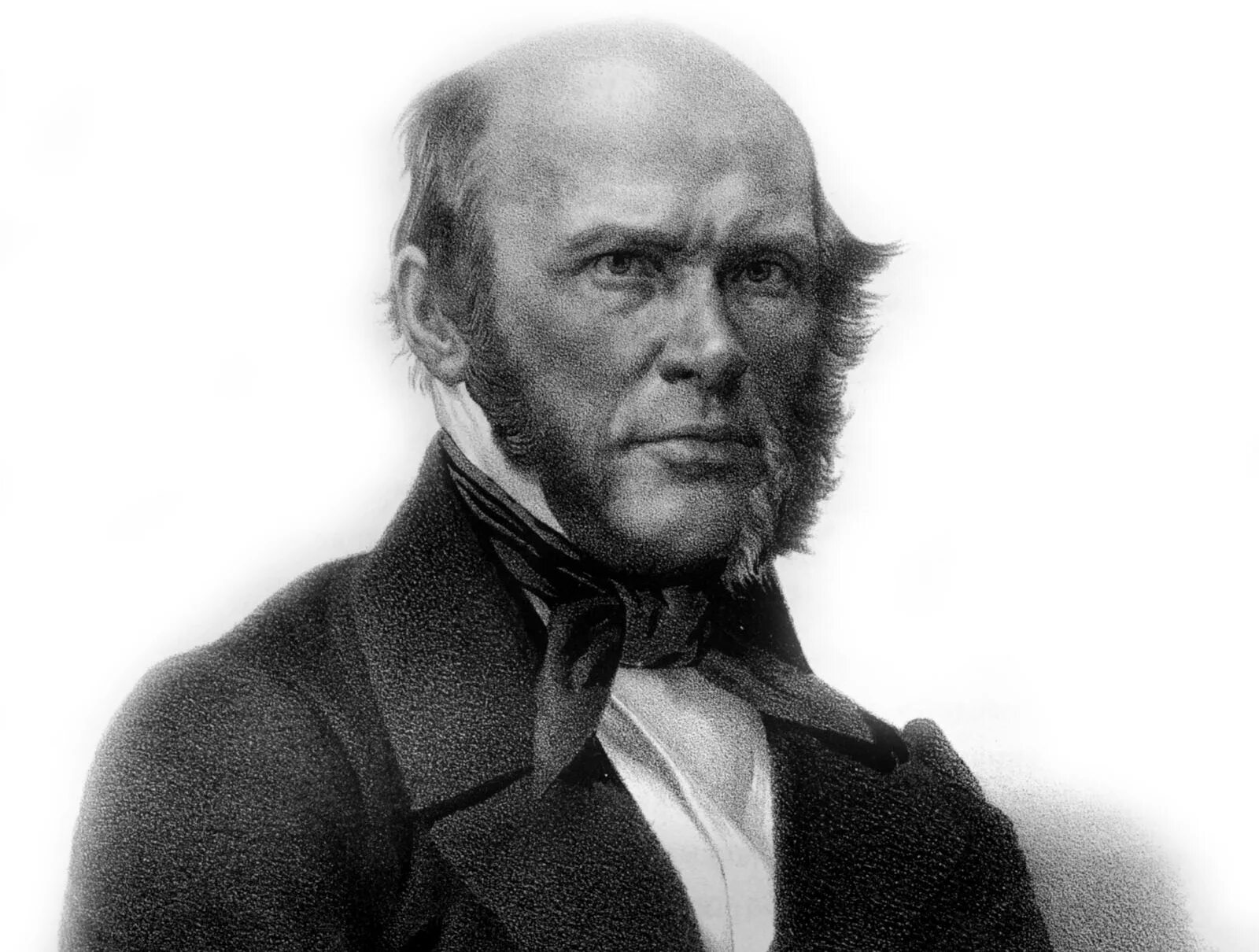 Новиков 18 век. Н иванович. Н и новиков 18 век. 1880 лунин. Н иванович.