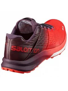 Salomon s lab