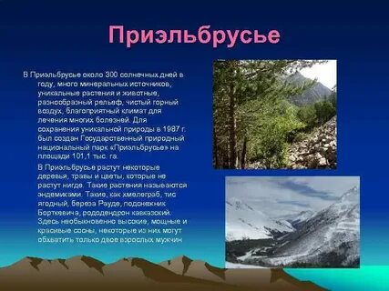 Проекты кбр