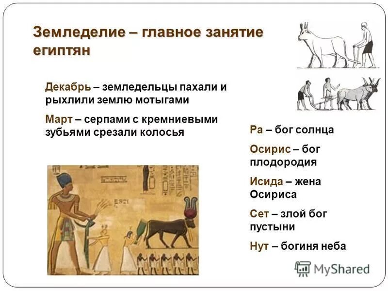 пахота в древнем египте. земледелец рассказ 5 класс. рассказ о земледельце. труд земледельцев в египте 5 класс. история 5 класс как жили земледельцы и ремесленники в египте рассказ.