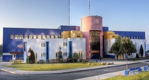 Фок серебрянка