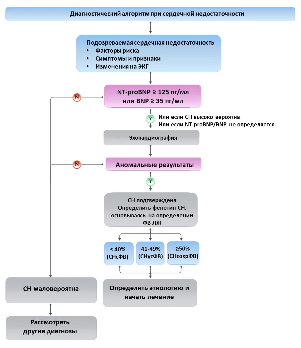 Алгоритм диагностики ХСН. Диагностический алгоритм сердечной недостаточности. Алгоритм диагностики хронической сердечной недостаточности. Диагностический алгоритм ХСН. Алгоритм сердечной недостаточности