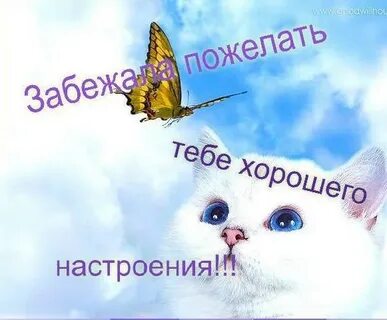 Желаю тебе хорошего настроения
