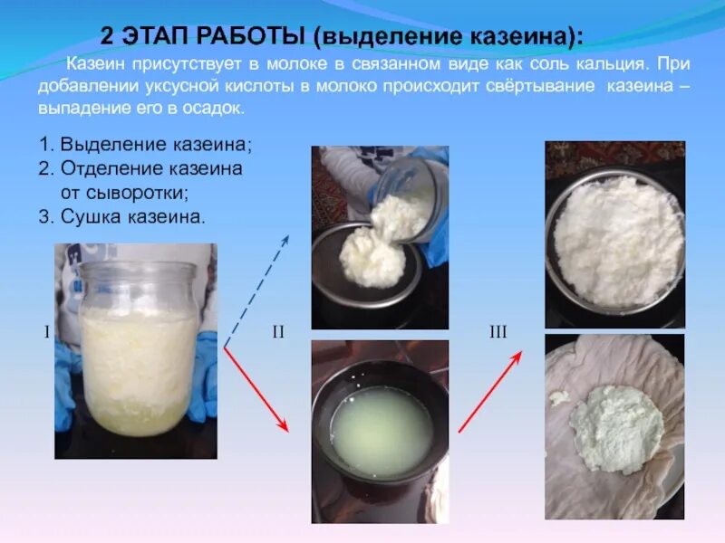 Этапы выделения белка. Выделение казеина из молока. Казеин в коровьем молоке. Стадии коагуляции молока. Казеиновое молоко.