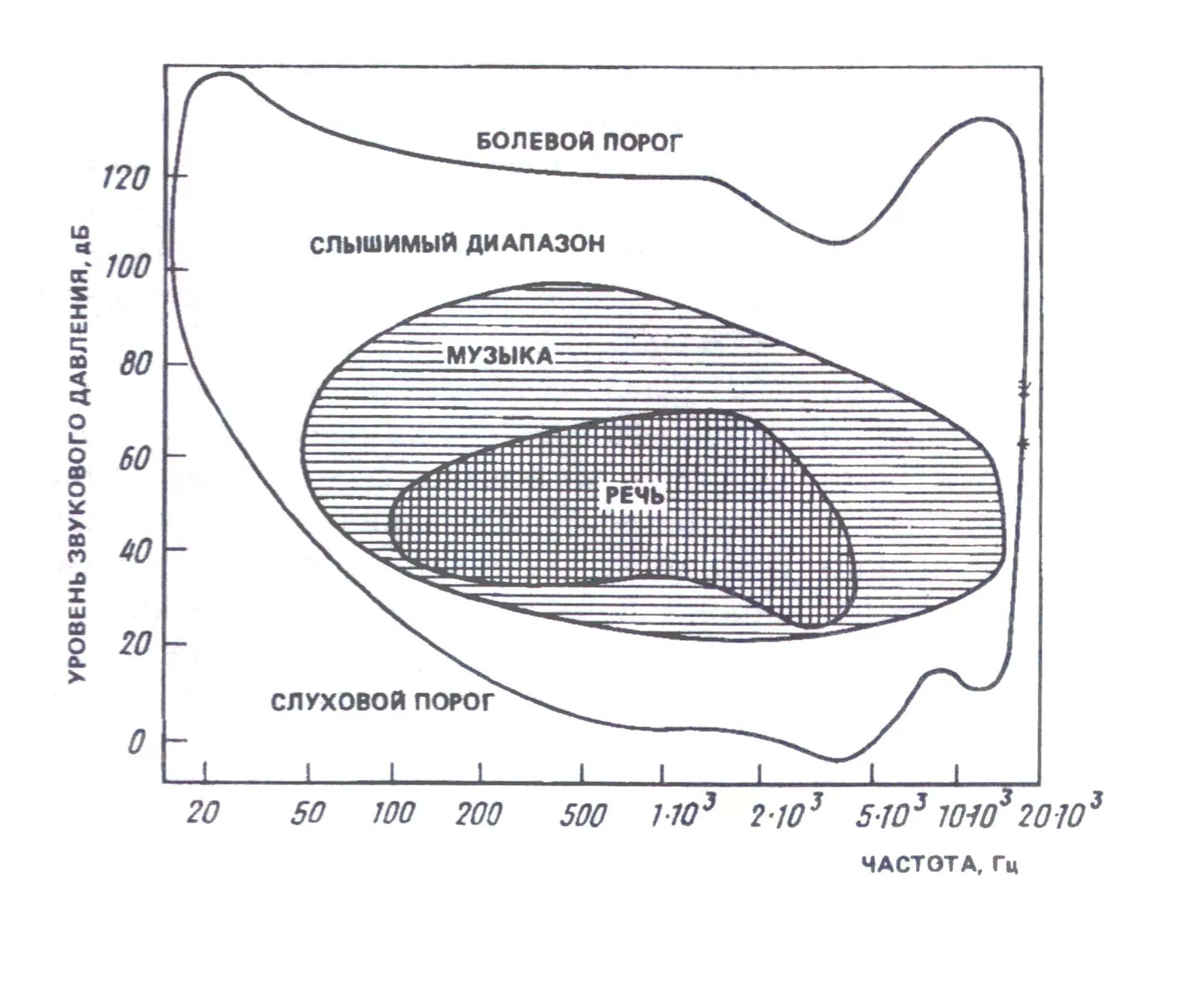 Слуховые пороги. Диапазон слышимости человеческого уха. Диапазон частот области слышимости. Порог слышимости график. Область слышимости звуков.