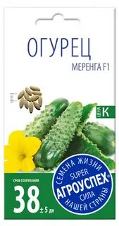 Огурец меренга описание