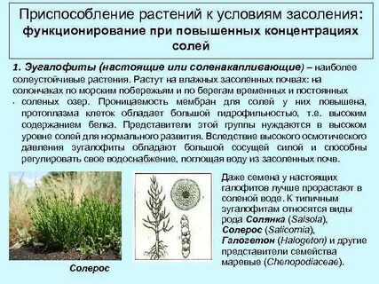 Приспособление травы
