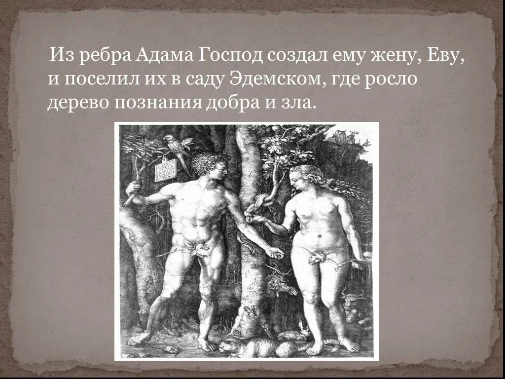 Как сотворили адама. Из ребра Адама. Сотворение Евы из ребра Адама. Бог сотворил Еву из ребра Адама.