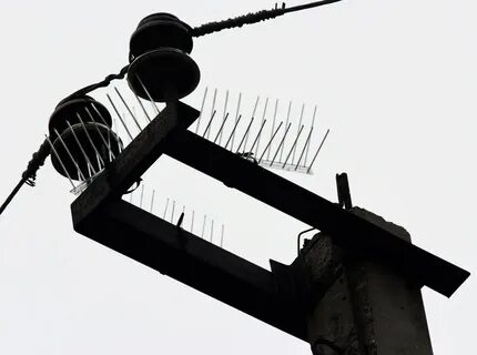 Антиприсадочные птицезащитные устройства