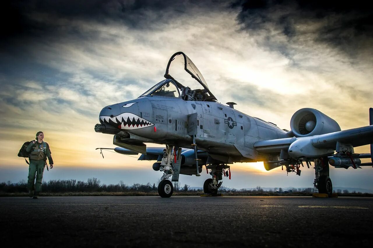 Fighter 10. A-10a "thunderbolt ii". Самолет а 10 штурмовик. Штурмовик тандерболт а10. Fighter 10.