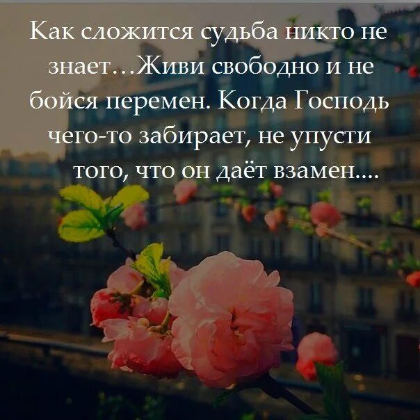 Как сложиться судьба россии. Никто не знает как жить правильно поэтому живите. Никто незнае как жить. Живите проще Господа живите проще. Как сложится судьба никто не знает живи.