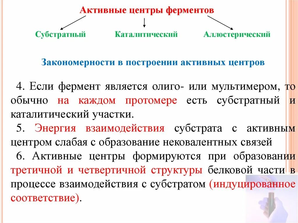 Активные центры ферментов закономерности в строении. Закономерности построения активного центра фермента. Характеристика активного центра ферментов. Активный центр фермента закономерности формирования. Активная группа фермента