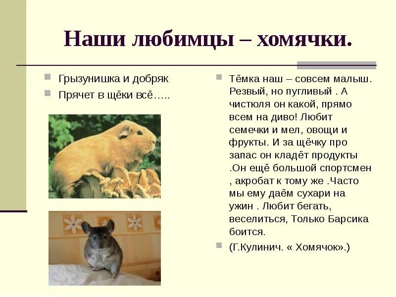 Рассказ о моем животном. Рассказ про моего питомца хомяка. описание хомяка сочинение. сочинение про моего хомяка. сочинение про хомячка.