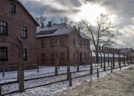 Виртуальная экскурсия по аушвиц биркенау освенцим