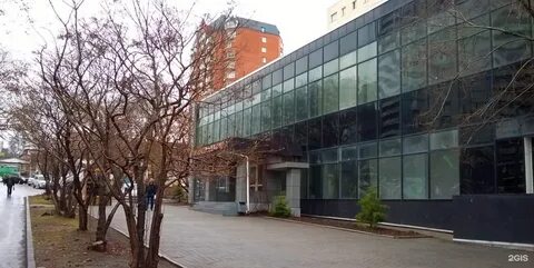 Горько владивосток