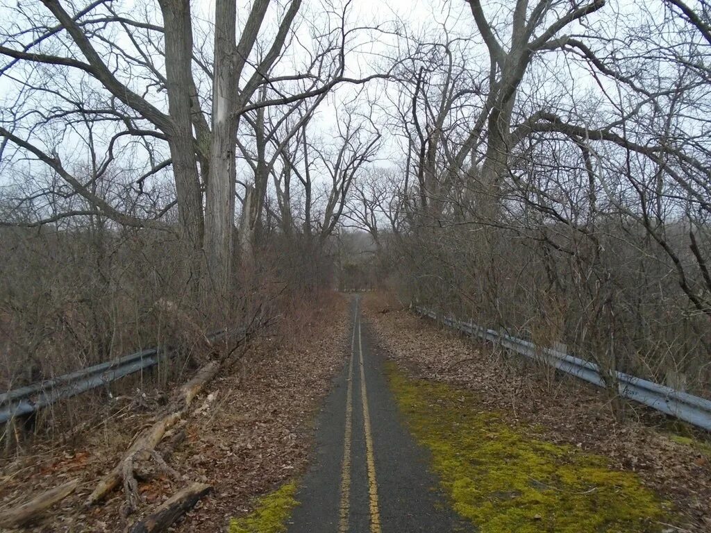 Dirt road. This old road. Заросший асфальт. Олд тайм роад. Memories old road.
