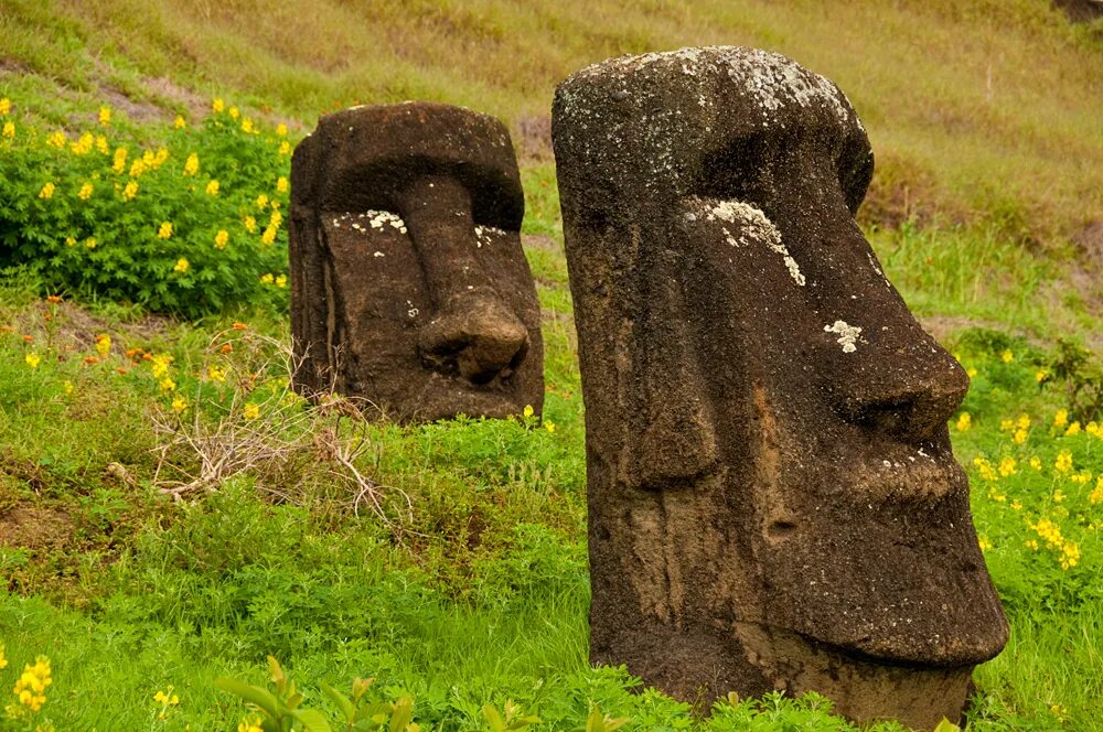 Где находятся идолы. Каменные идолы острова Пасхи. Каменные статуи острова Пасхи. Камень Моаи. Каменные статуи Моаи остров Пасхи Чили.