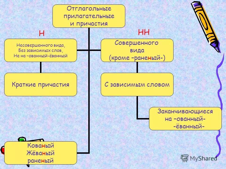 слитное и раздельное написание не с краткими причастиями. на какие вопросы отвечает краткое причастие. краткое причастие и полное причастие. причастие это особая форма глагола которая имеет признаки. полные и кратк е причастия.