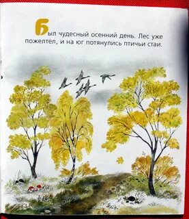 Книги про осень для детей
