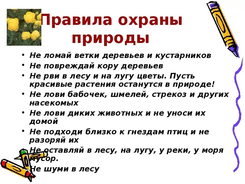 Законы об охране природы. Сочинение на тему защита природы. Сочинение на тему защита природы. План мер по охране природы. Вопросы на тему природа.