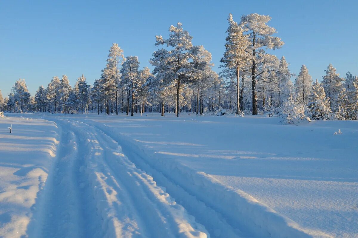 Ямал Ноябрьск природа. Ноябрьск зима. Пермский край пейзаж зима. Ноябрьск зимой.