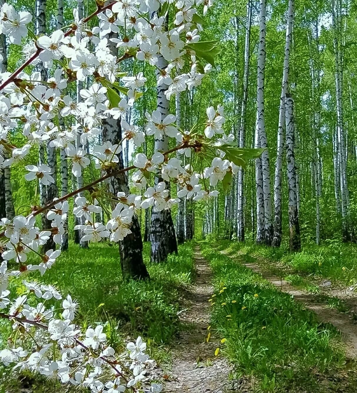 Через день апрель