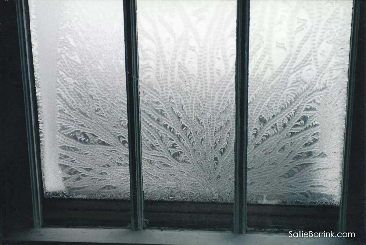 Морозные узоры на окне. Морозное окно. Морозные узоры на стекле. Узоры на окнах от Мороза.
