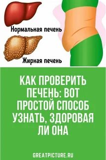 Анализы здоровая печень