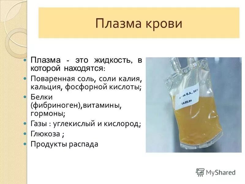 Что такое плазма и ее функции. Что такое плазма и ее функции