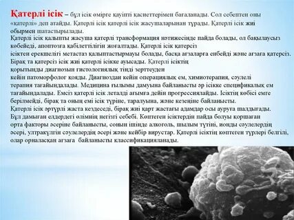 Қайықтағы порно видео