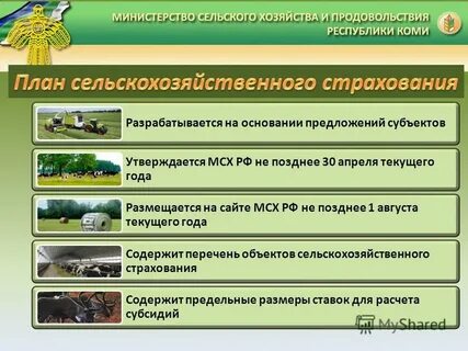 Коды мсх