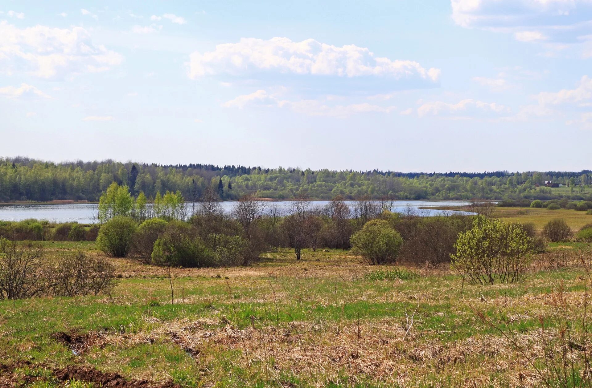 Песчаное новгородская область. Деревня песчаное новгородский. Радбелик новгородская область. Деревня песчаное новгородская область. Песчаная деревня.