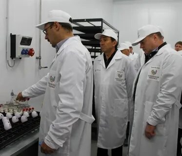 Ищу работу в первомайске