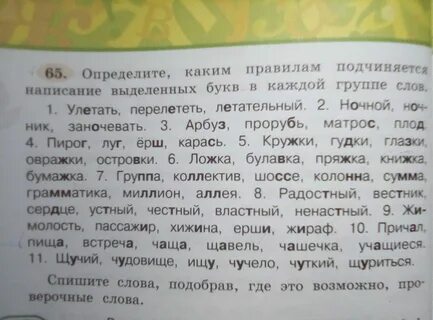 Скатила проверочное слово